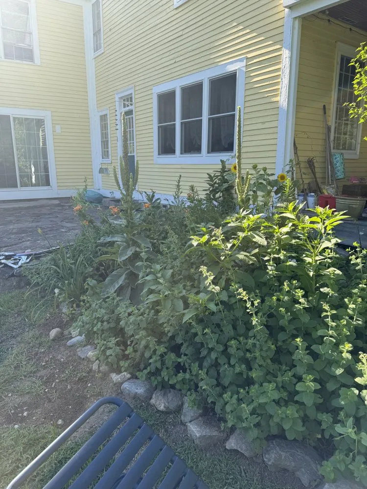 Expert yard cleanup service in Lyndeborough, NH - Zeal Landscape