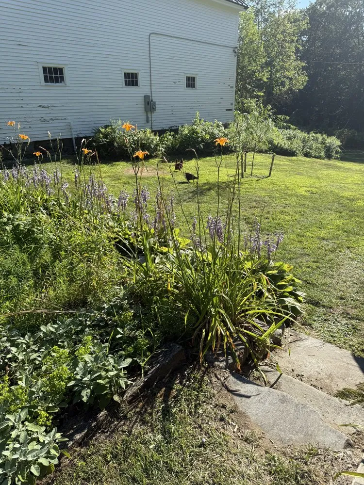 Professional outdoor landscaping in Lyndeborough, NH by Zeal Landscape