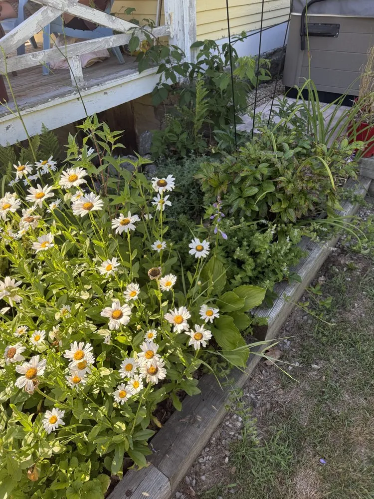 Top-rated landscape installation in Lyndeborough, NH by Zeal Landscape