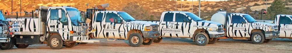 Expert garden landscaping experts serving Prescott, AZ - ZebraScapes Landscaping