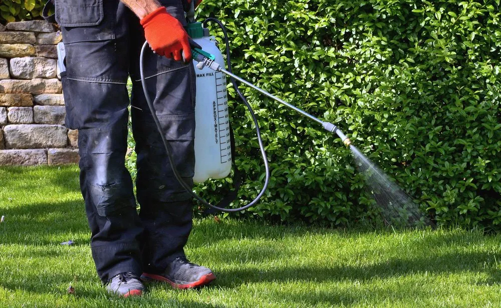 Expert yard maintenance for beautiful yards across Prescott, AZ - ZebraScapes Landscaping