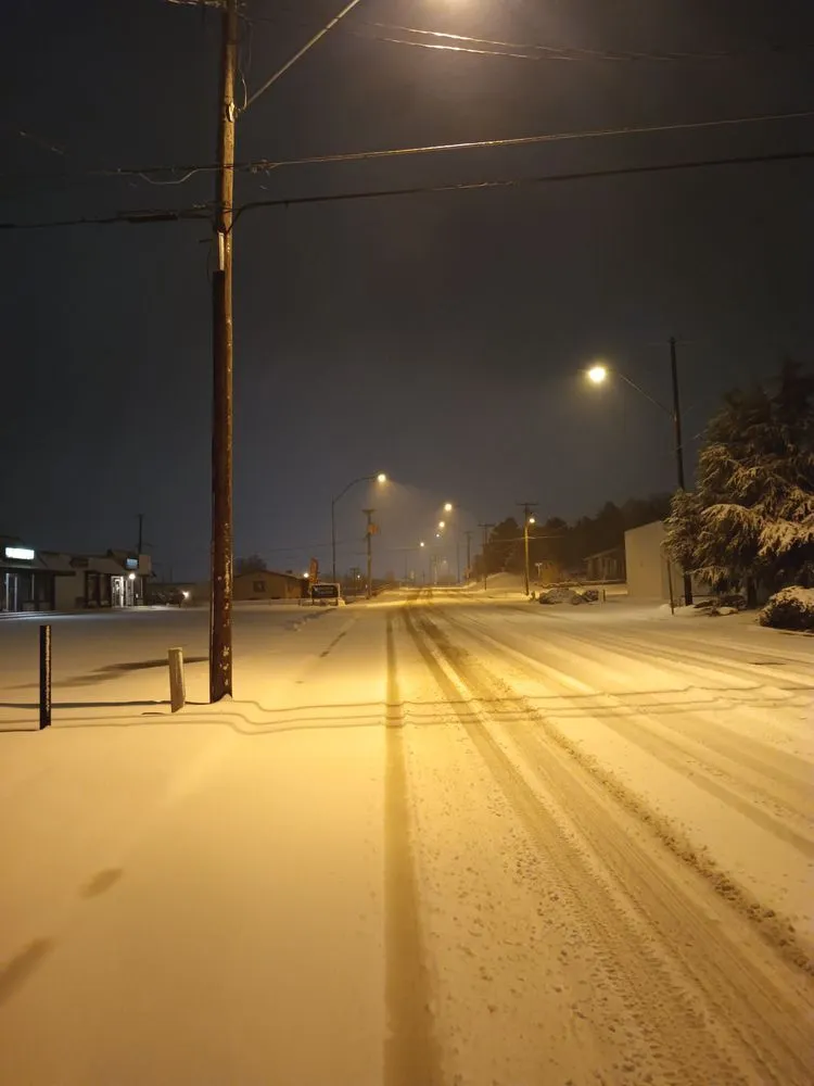 Trusted yard cleanup service in Prescott, AZ by ZebraScapes Landscaping