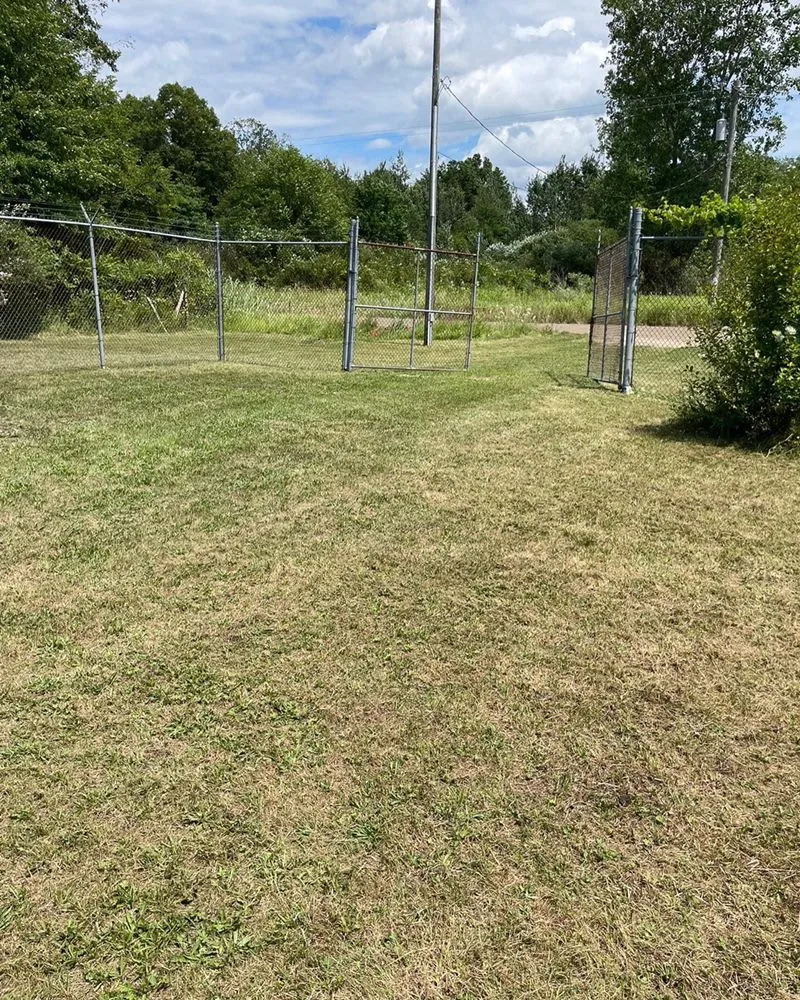 Top-rated lawn care service for homes across Inkster, MI - Zeeks Lawn Care and Snow Removal