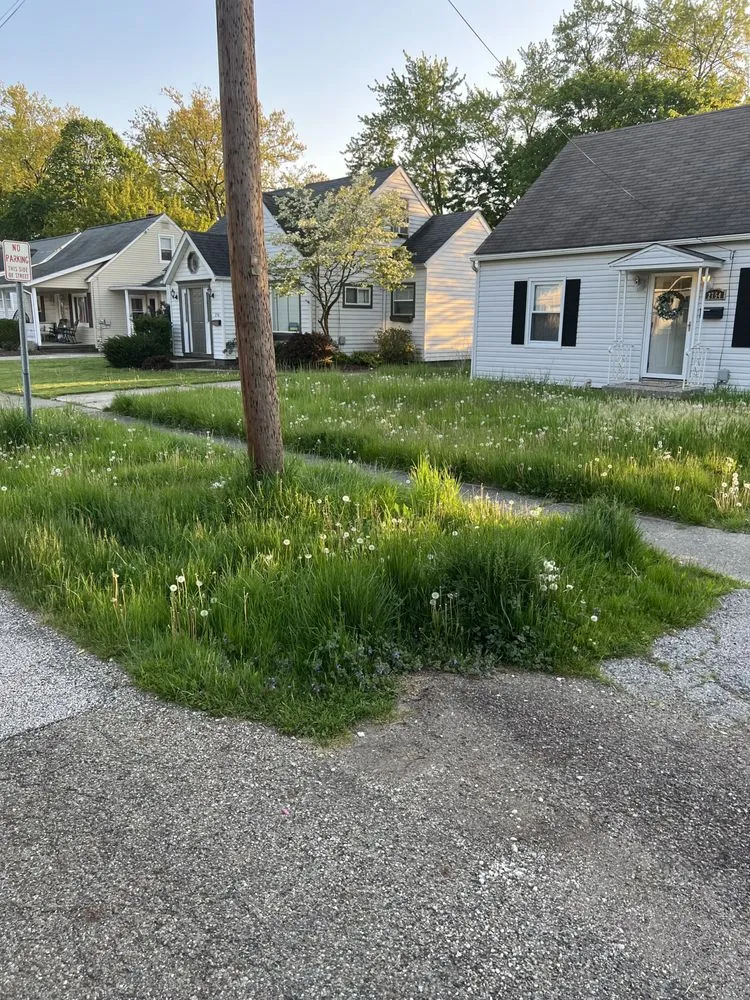 Local outdoor landscaping in Cuyahoga Falls, OH - Zeescapes