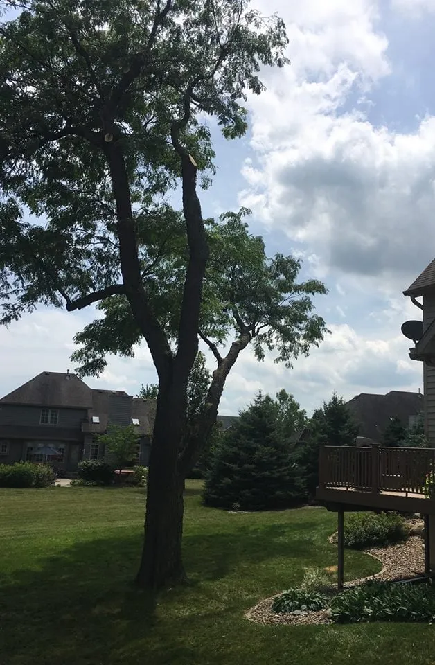 Local lawn care service for outdoor upgrades across Deer Creek, IL - Zehr Property Maintenance