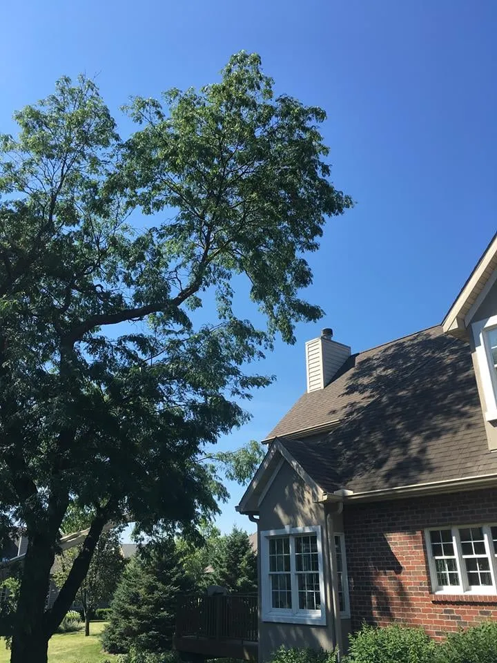 Top-rated garden landscaping experts serving Deer Creek, IL - Zehr Property Maintenance