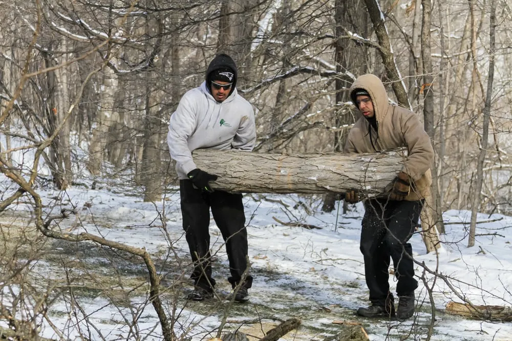 Professional yard maintenance experts serving Deer Creek, IL - Zehr Property Maintenance