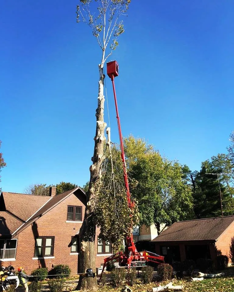 Reliable residential landscaping in Deer Creek, IL - Zehr Property Maintenance