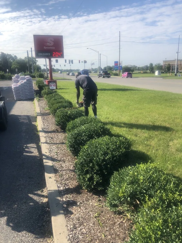 Expert outdoor landscaping for outdoor upgrades in Camby, IN by Zeigler Services
