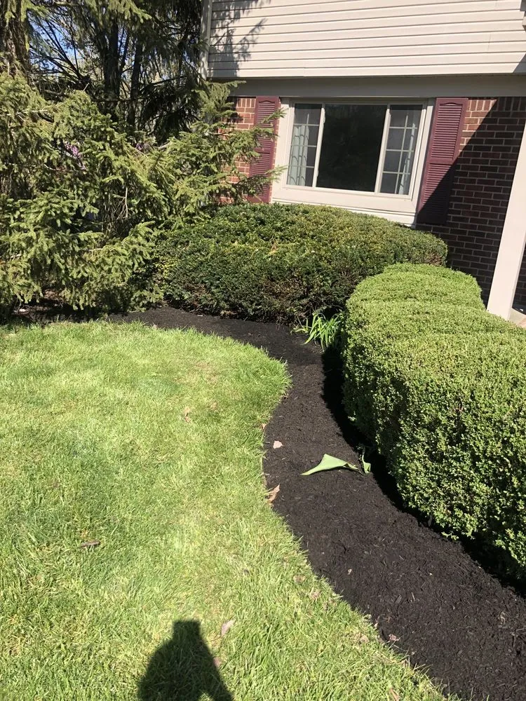 Expert lawn care service in Camby, IN - Zeigler Services