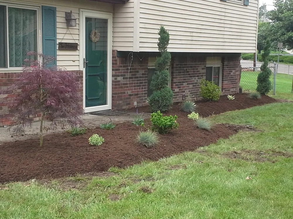 Expert yard cleanup service experts serving Camby, IN - Zeigler Services