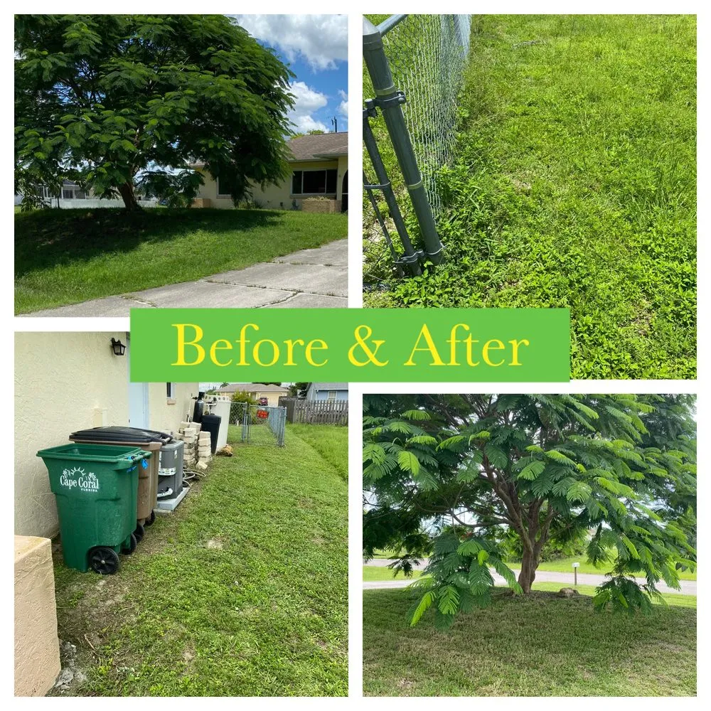 Affordable yard cleanup service for year-round maintenance in Buckingham, FL by Zeigler’s Landscape & Design