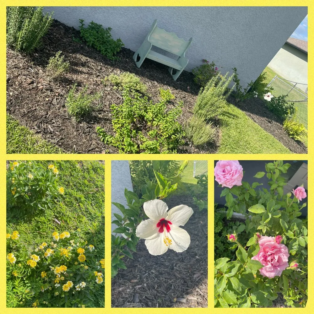 Professional lawn mowing service for outdoor upgrades across Buckingham, FL - Zeigler’s Landscape & Design