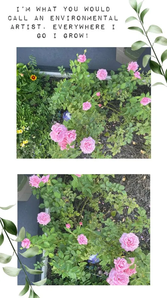 Professional garden landscaping near you in Buckingham, FL by Zeigler’s Landscape & Design