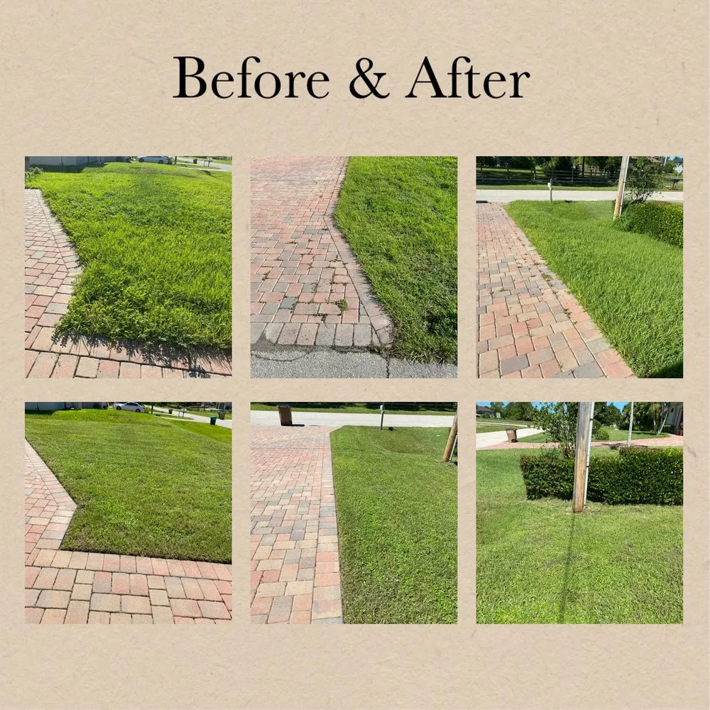 Expert lawn care service in Buckingham, FL by Zeigler’s Landscape & Design
