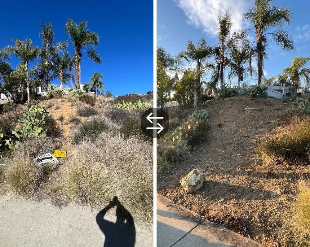 Local outdoor landscaping experts serving Lemon Grove, CA - Zeke’s Gardening Services