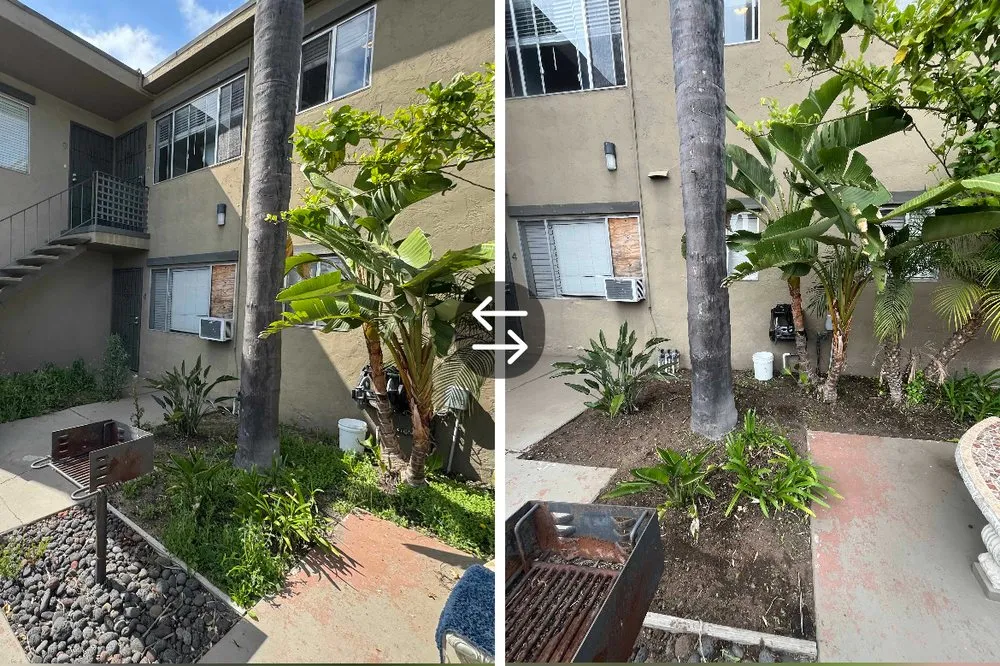 Trusted lawn mowing service in Lemon Grove, CA by Zeke’s Gardening Services