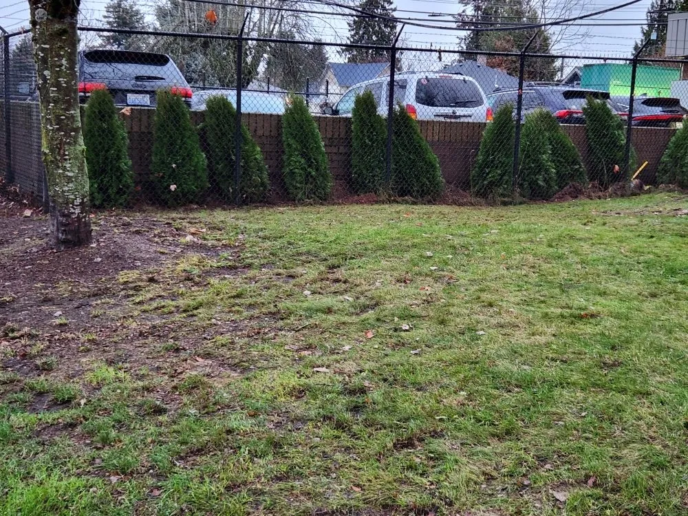 Expert residential landscaping experts serving Seattle, WA - Zeke's Landscape & Maintenance