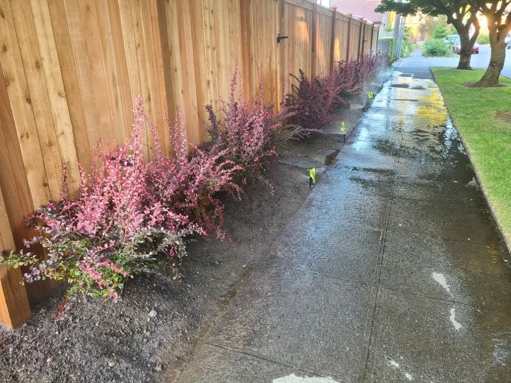 Affordable yard cleanup service experts serving Seattle, WA - Zeke's Landscape & Maintenance