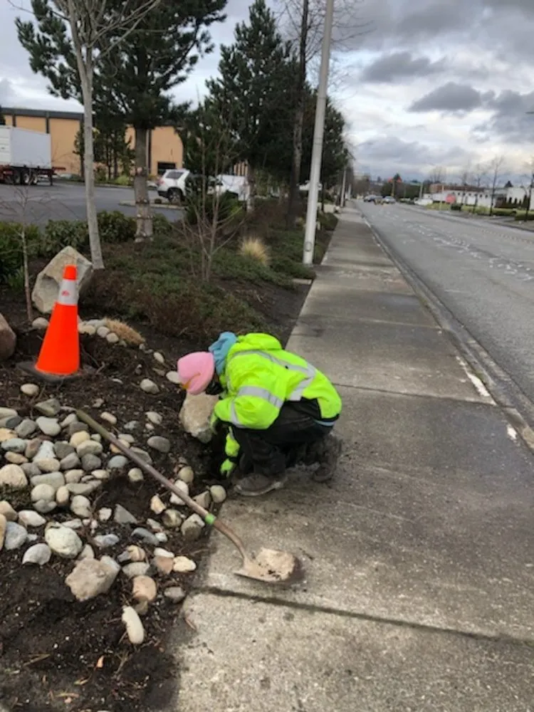 Local yard cleanup service experts serving Seattle, WA - Zeke's Landscape & Maintenance