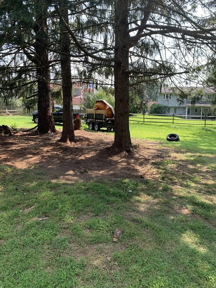 Professional residential landscaping for outdoor upgrades in Holland, PA by Zeke’s Landscaping