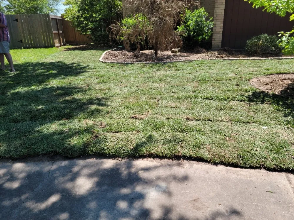 Reliable outdoor landscaping for year-round maintenance across League City, TX - Zekes Landscaping