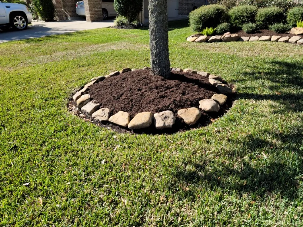 Reliable landscaping services for year-round maintenance in League City, TX by Zekes Landscaping
