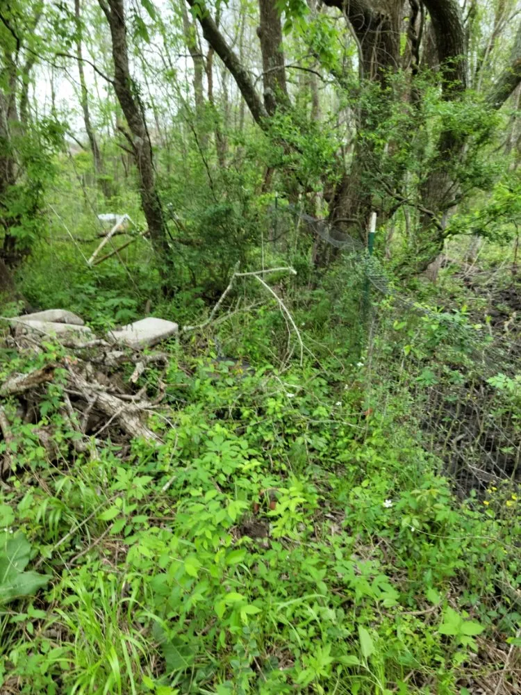 Reliable garden landscaping for year-round maintenance in League City, TX by Zekes Landscaping