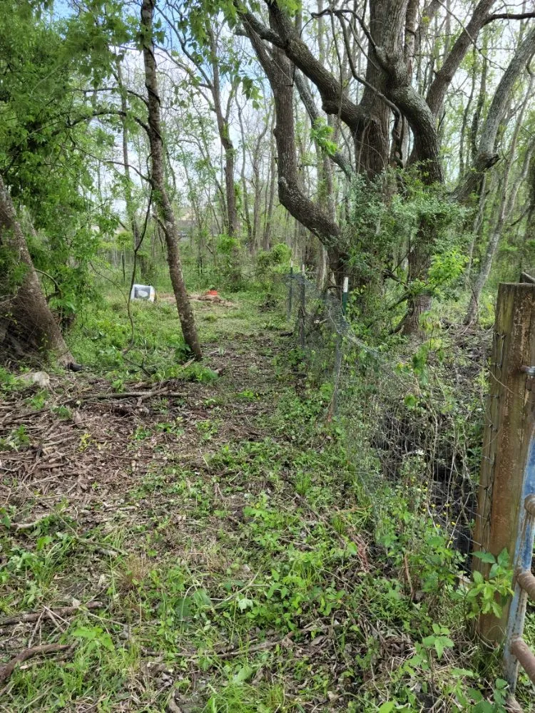 Top-rated landscape design experts serving League City, TX - Zekes Landscaping