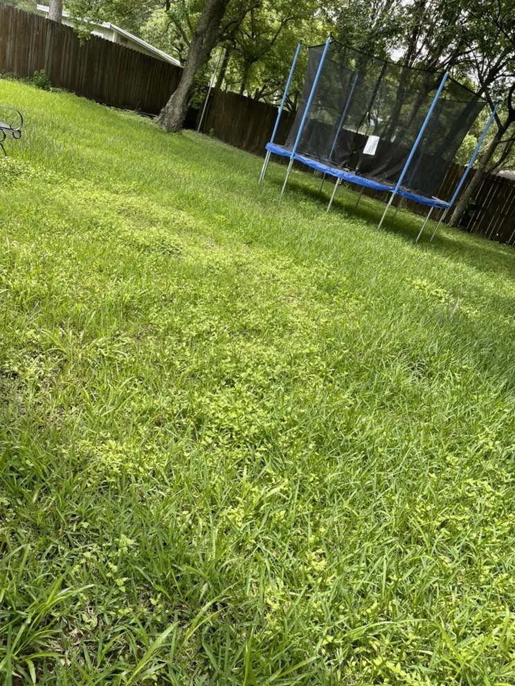 Custom yard cleanup service experts serving League City, TX - Zekes Landscaping