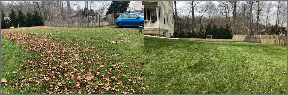 Local yard cleanup service in Aberdeen, MD by Zeke's PP Landscaping