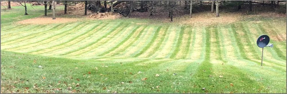 Professional outdoor landscaping in Aberdeen, MD by Zeke's PP Landscaping