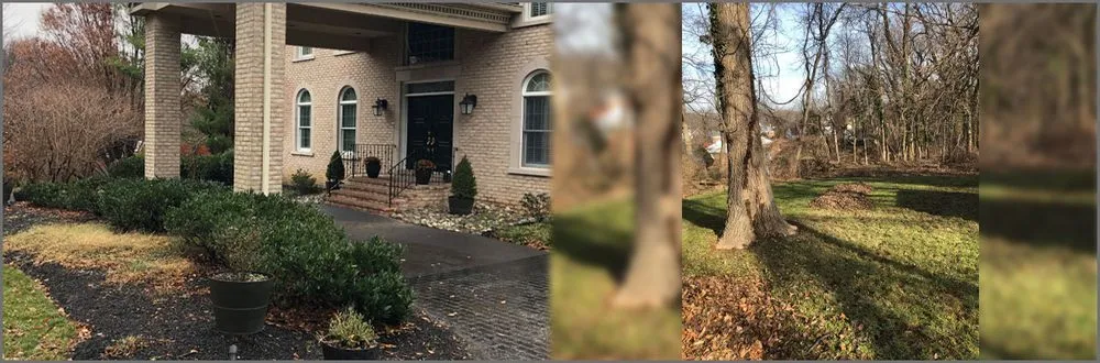 Local yard cleanup service in Aberdeen, MD - Zeke's PP Landscaping