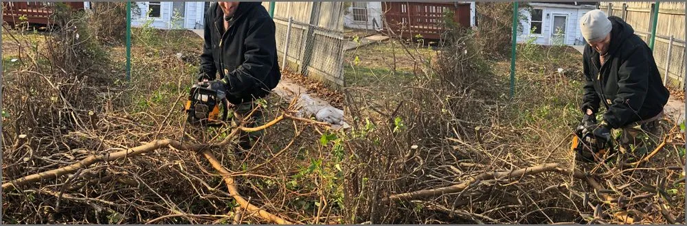 Trusted landscape installation in Aberdeen, MD - Zeke's PP Landscaping