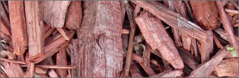 Local yard cleanup service in Aberdeen, MD - Zeke's PP Landscaping