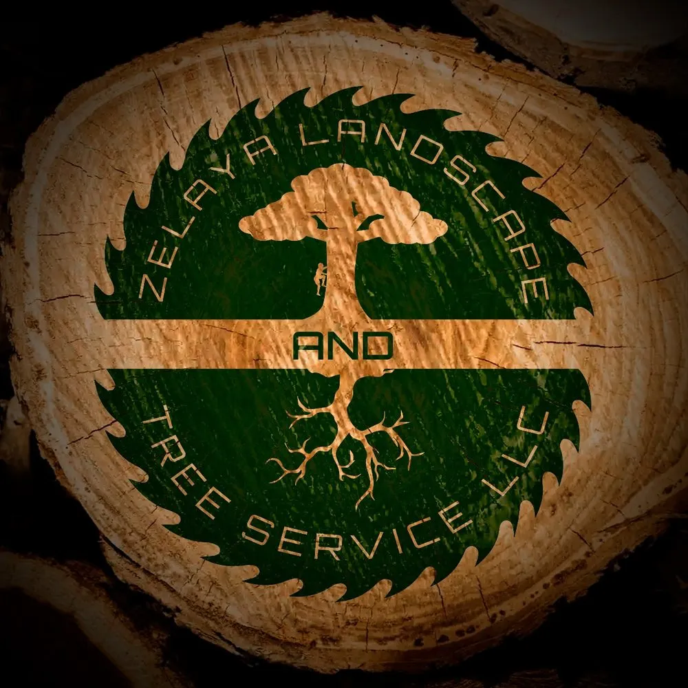 Local lawn care service in Grand Prairie, TX by Zelaya Landscape and Tree Service
