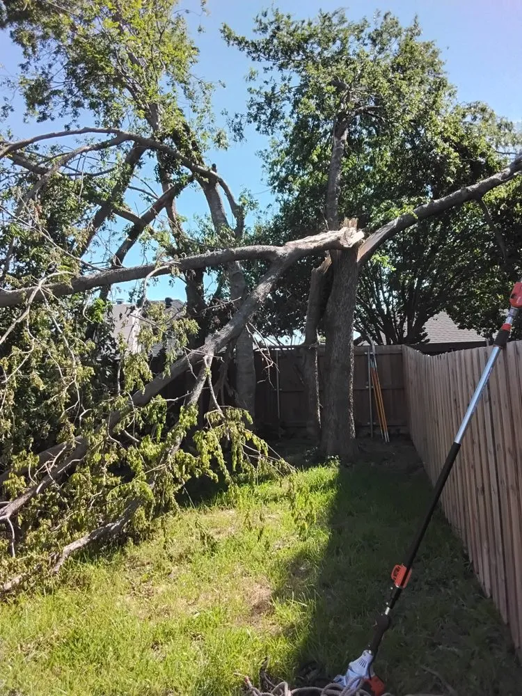 Custom landscape design for beautiful yards in Grand Prairie, TX by Zelaya Landscape and Tree Service
