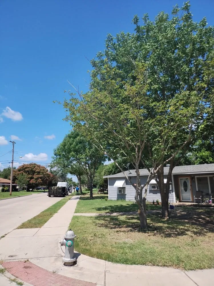 Local residential landscaping in Grand Prairie, TX - Zelaya Landscape and Tree Service