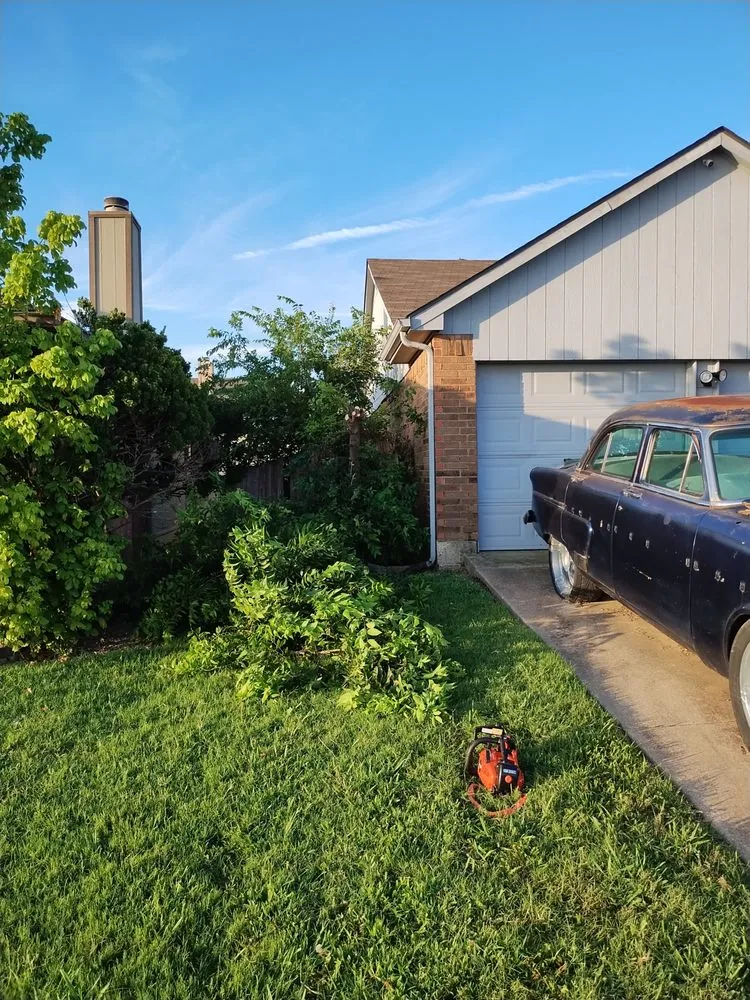 Expert lawn mowing service in Grand Prairie, TX by Zelaya Landscape and Tree Service