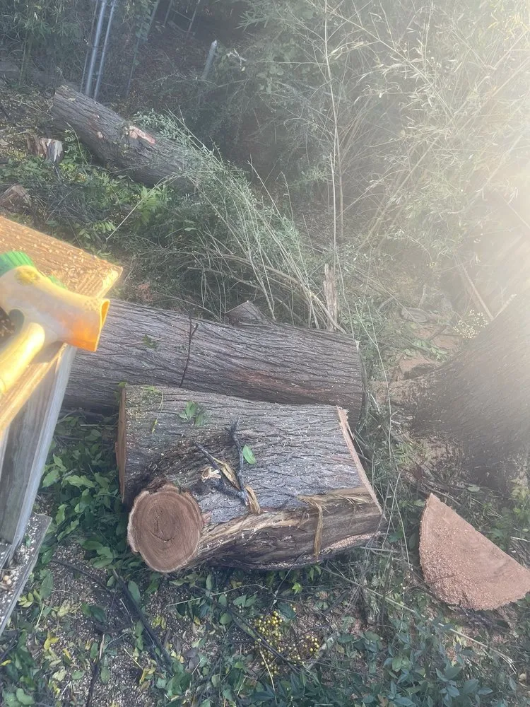 Local garden landscaping for homes in Grand Prairie, TX by Zelaya Landscape and Tree Service