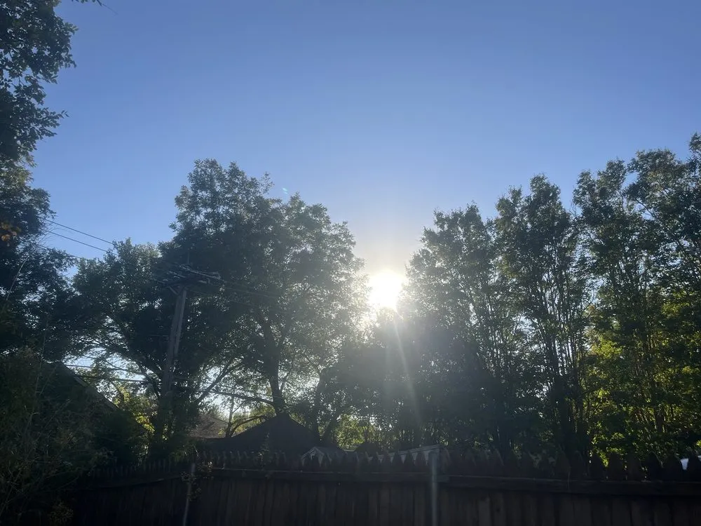 Custom lawn care service experts serving Grand Prairie, TX - Zelaya Landscape and Tree Service