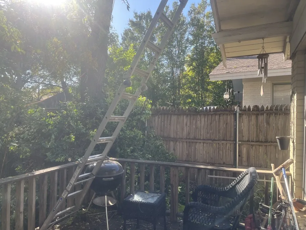 Affordable garden landscaping in Grand Prairie, TX by Zelaya Landscape and Tree Service