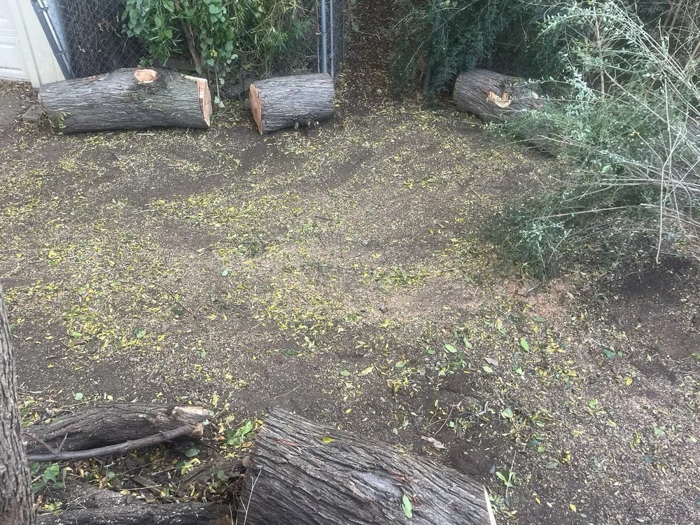 Local lawn mowing service with custom design in Grand Prairie, TX by Zelaya Landscape and Tree Service