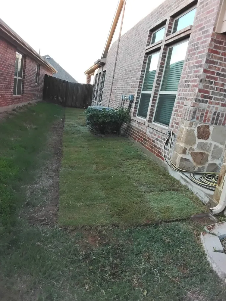 Custom yard maintenance in Grand Prairie, TX by Zelaya Landscape and Tree Service