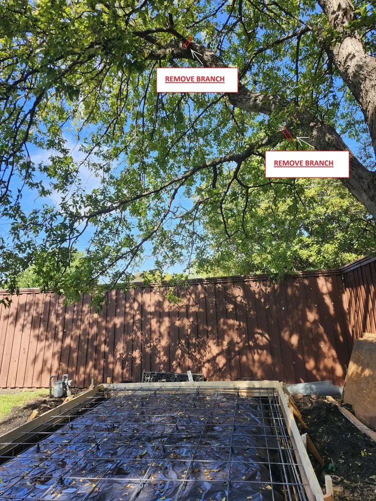 Reliable yard maintenance in Grand Prairie, TX - Zelaya Landscape and Tree Service