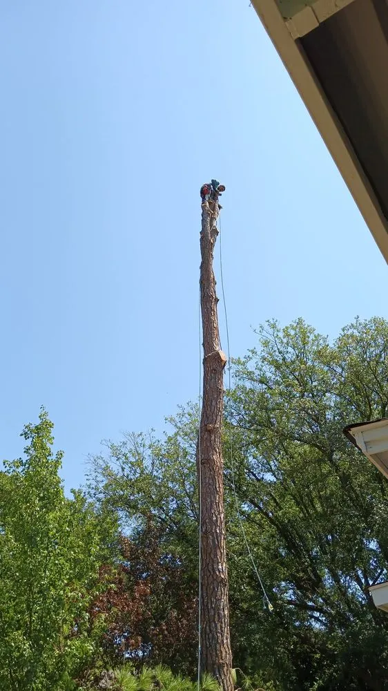 Trusted landscaping services in Grand Prairie, TX - Zelaya Landscape and Tree Service