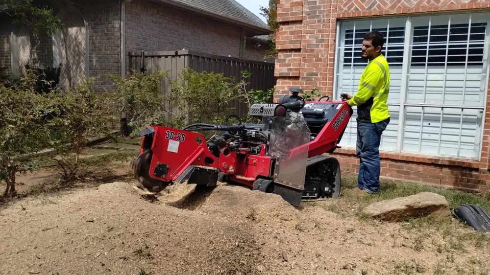 Professional residential landscaping in Grand Prairie, TX by Zelaya Landscape and Tree Service