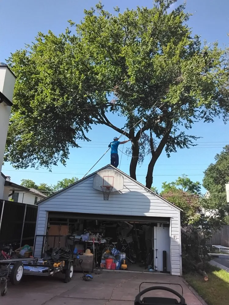 Trusted landscape installation for beautiful yards in Grand Prairie, TX by Zelaya Landscape and Tree Service