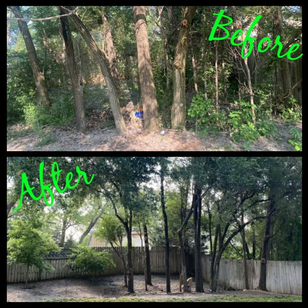 Reliable landscape installation for year-round maintenance across Wichita, KS - Zelaya Landscaping