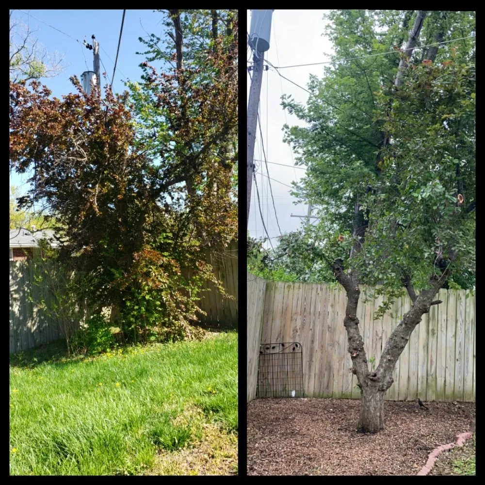 Trusted garden landscaping for outdoor upgrades across Wichita, KS - Zelaya Landscaping